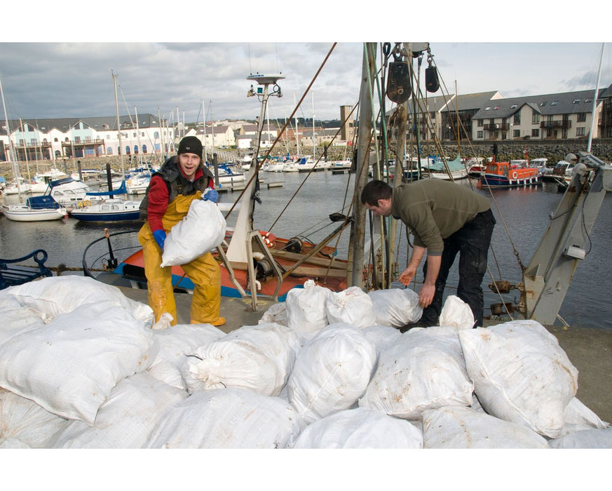 50x90cm Woven PP Sacks (100 per pack)